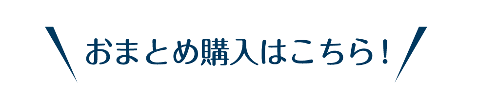 おまとめ購入はこちら！