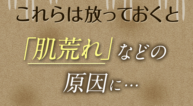 これらは放っておくと「肌荒れ」の原因に…